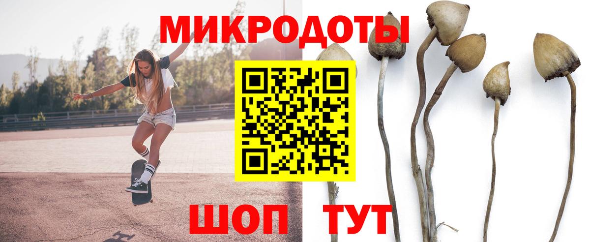 Лыткарино  Псилоцибиновые грибы Psilocybe  Вход с VPN 